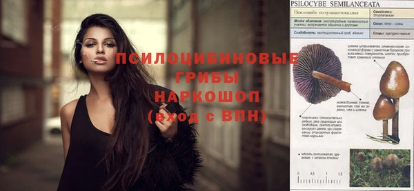 мяу мяу мука Алексеевка