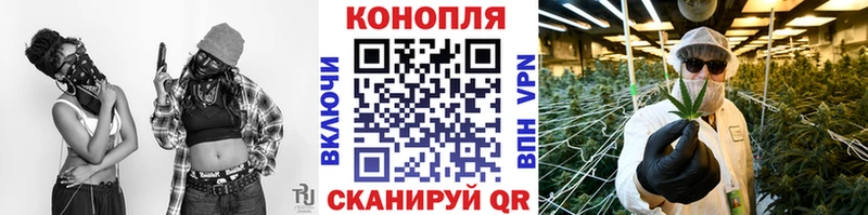 Канабис сатива  Безенчук 